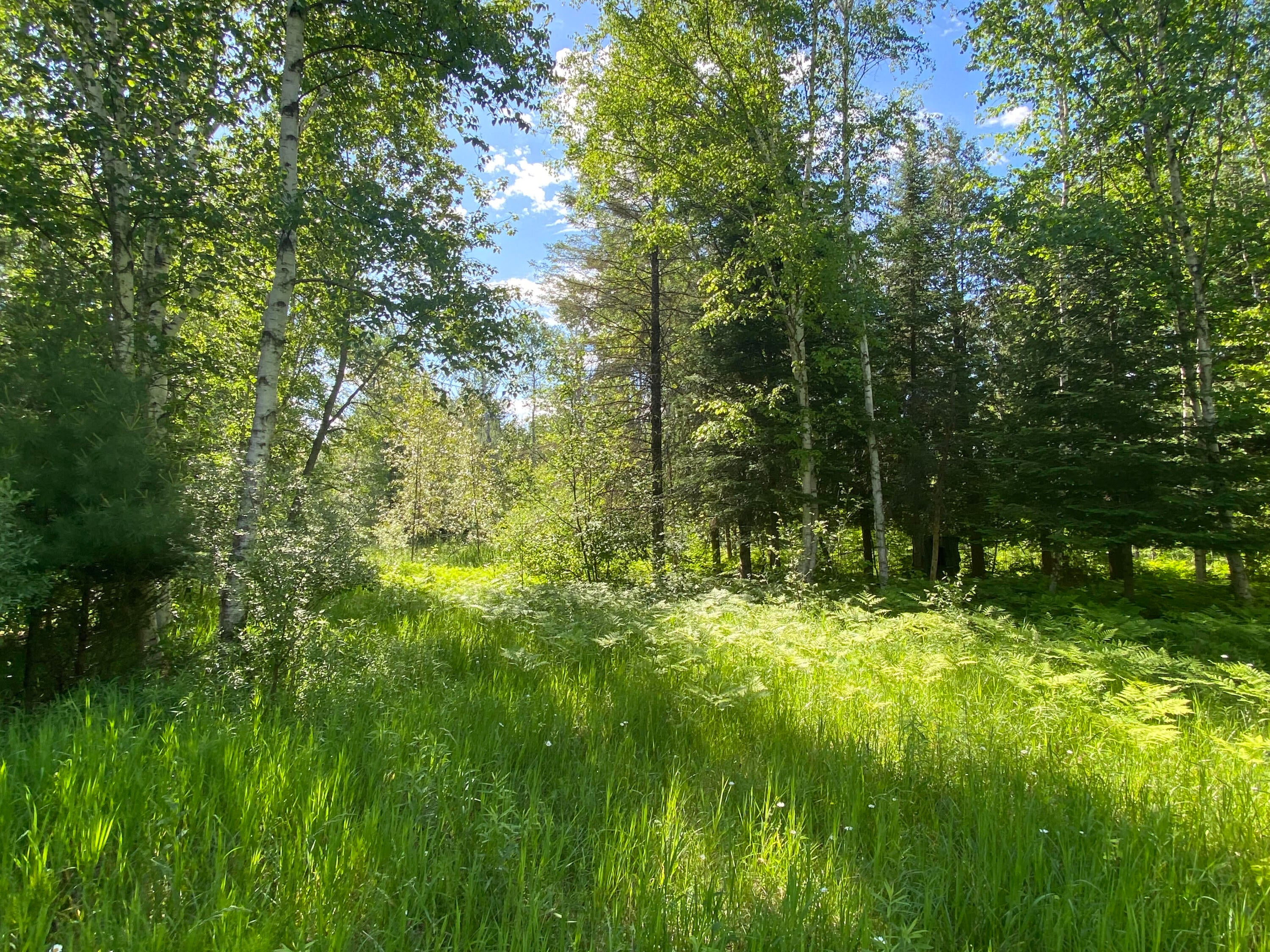 Townline Rd Road Rose City, MI 48654 - Photo 14 of 26 Gallery Image 14