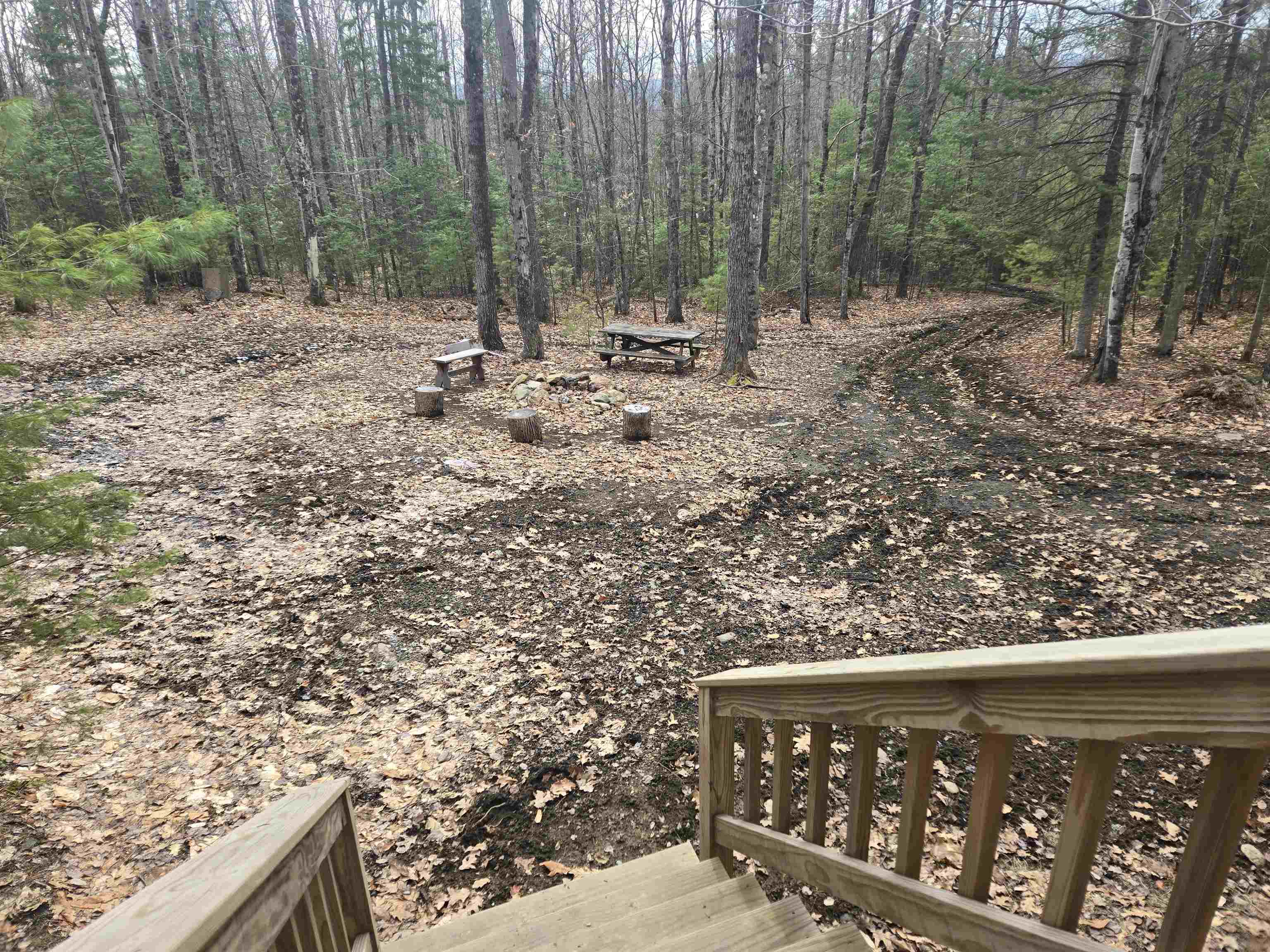 277 Foster Hill Road Bath, NH 03740 - Photo 11 of 22