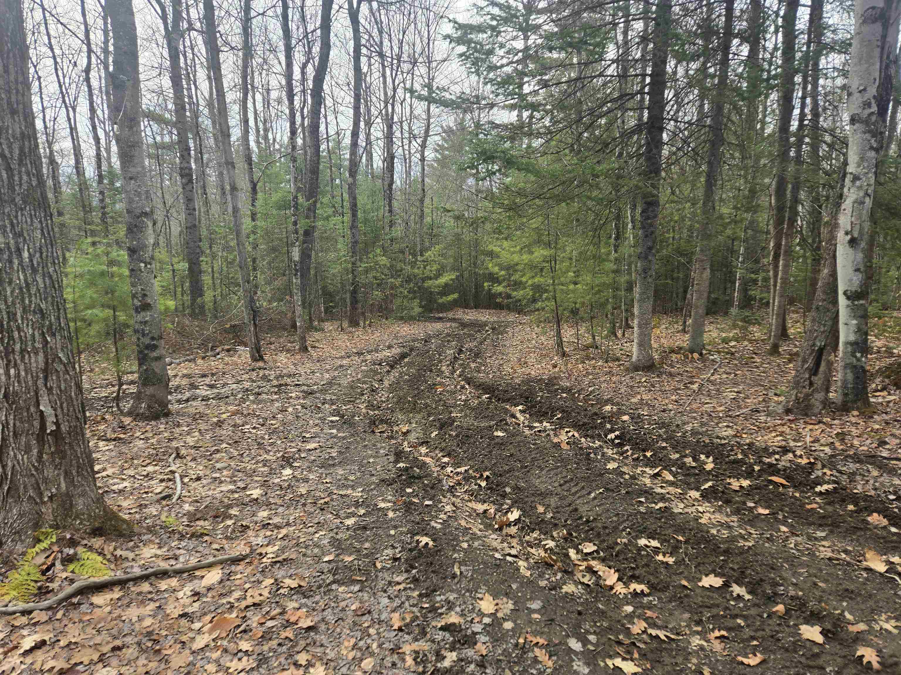 277 Foster Hill Road Bath, NH 03740 - Photo 4 of 22