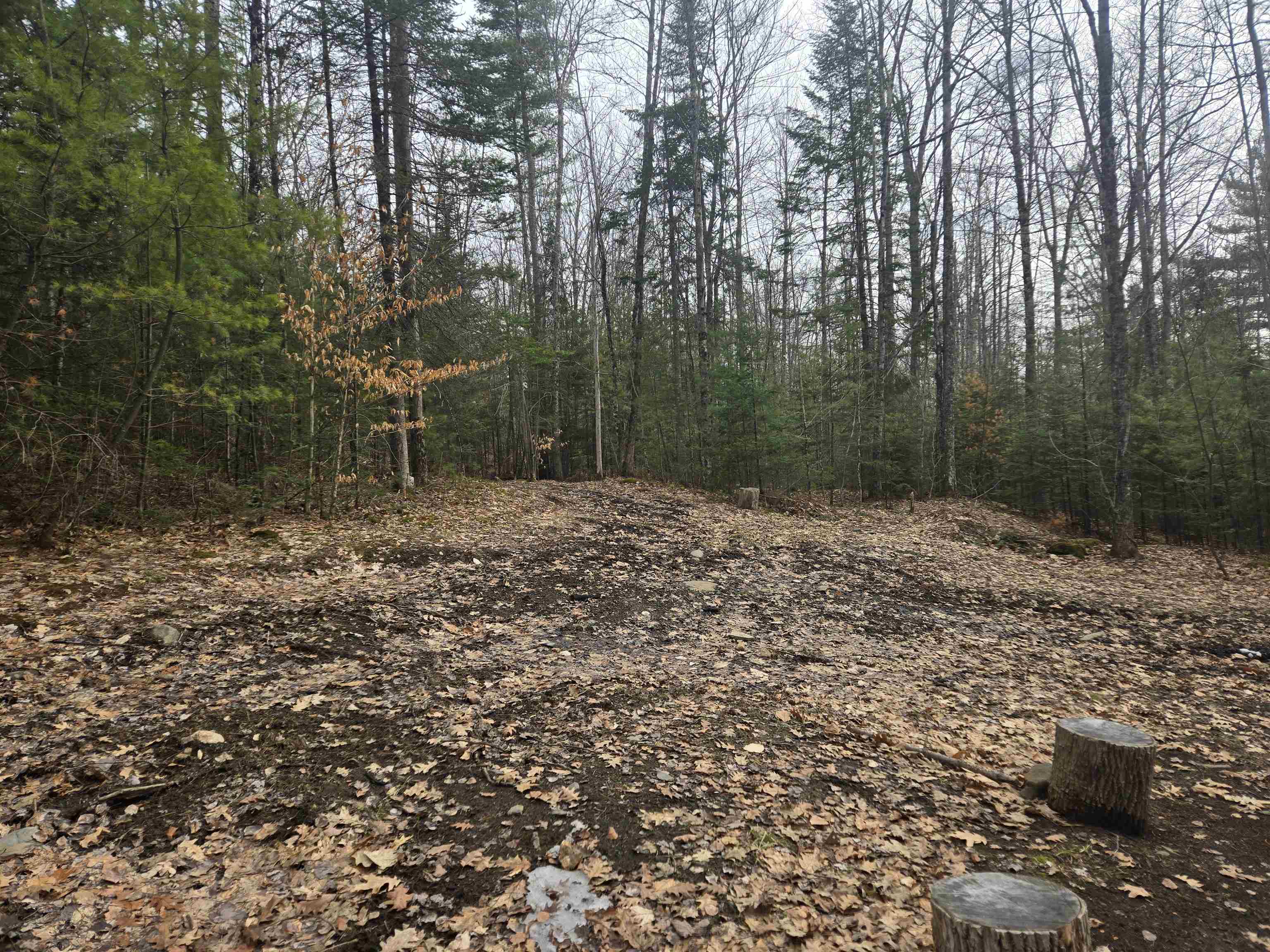 277 Foster Hill Road Bath, NH 03740 - Photo 5 of 22