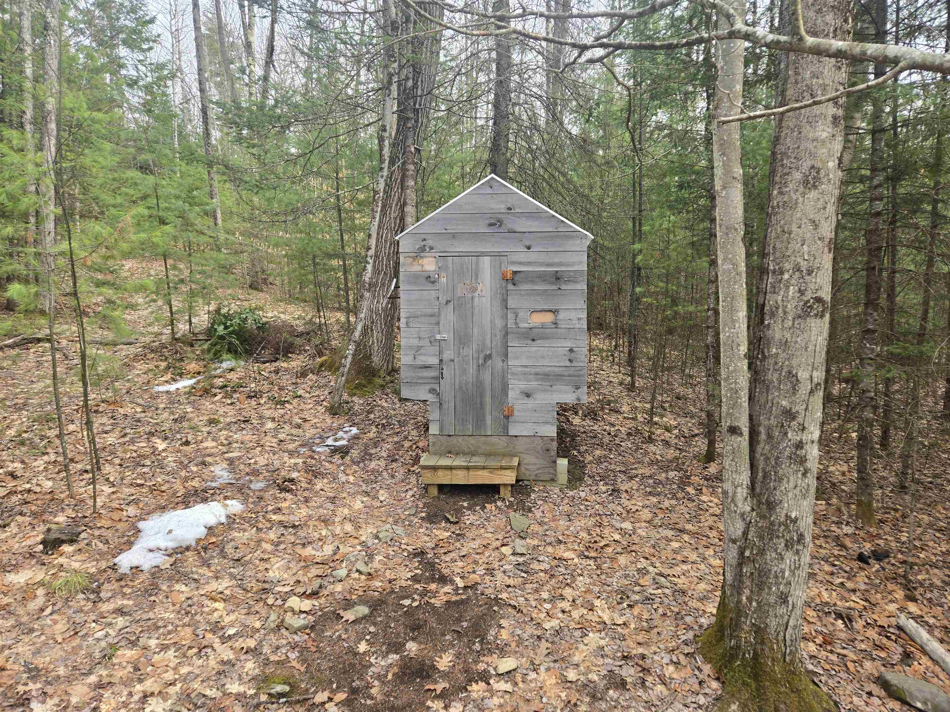 277 Foster Hill Road Bath, NH 03740 - Photo 9 of 22