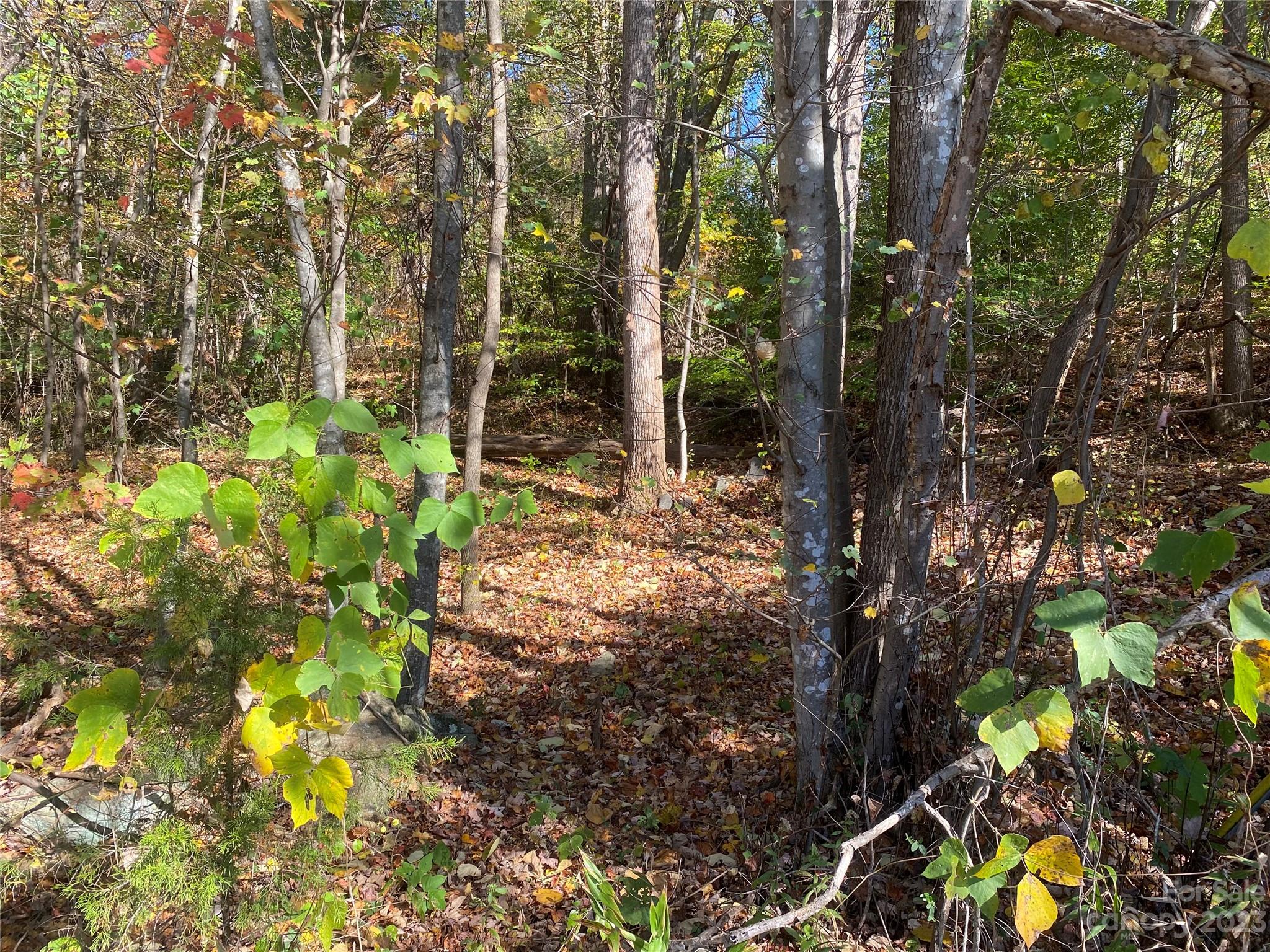 0 Traphill Road Hays, NC 28635 - Photo 2 of 6 Gallery Image 2
