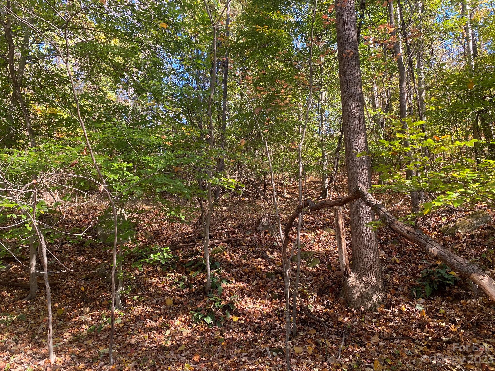 0 Traphill Road Hays, NC 28635 - Photo 6 of 6 Gallery Image 6