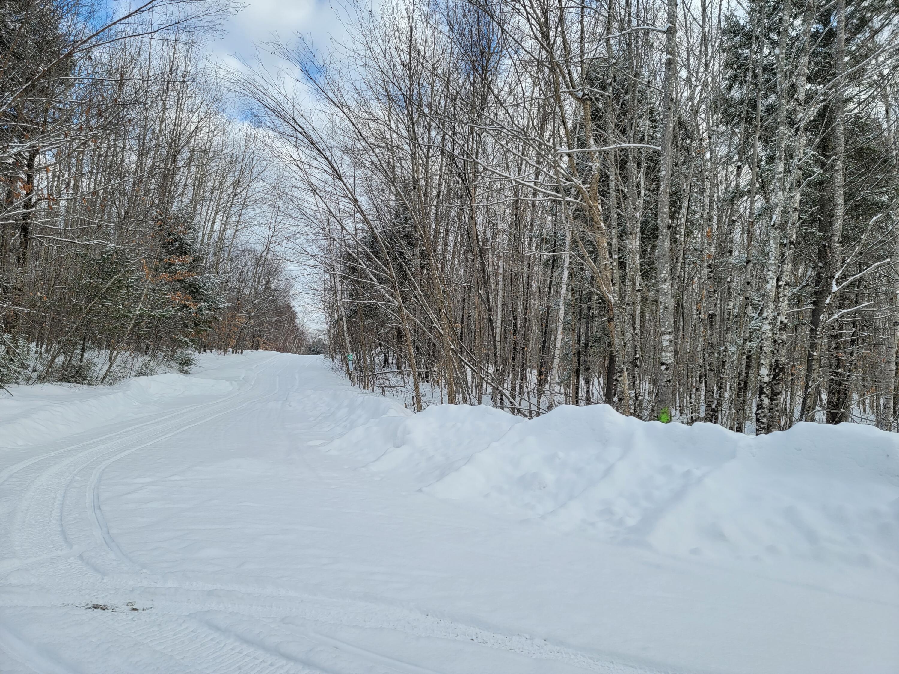 0 Railroadbed Rd Lake View Milo, ME 04463 - Photo 19 of 68 20220125_142433