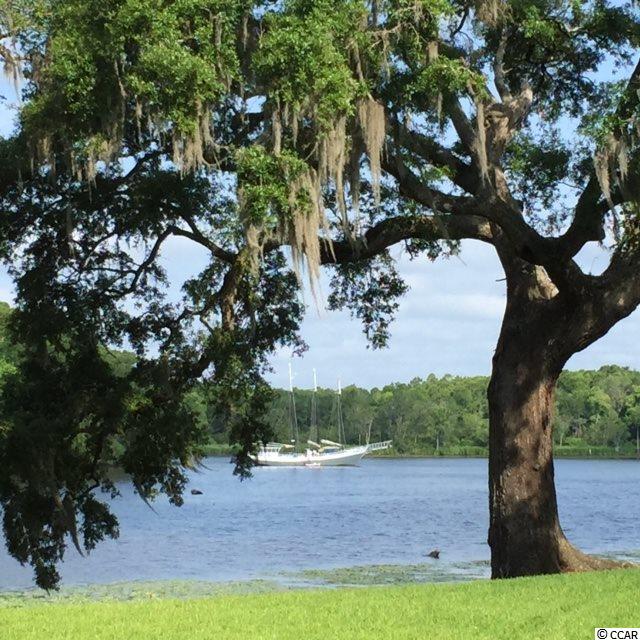 4592 Carriage Run Circle Murrells Inlet, SC 29576 - Photo 25 of 25 Gallery Image 25