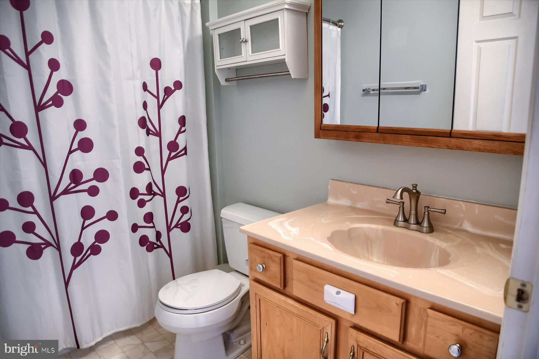 403 Chestnut Tree Road Elverson, PA 19520 - Photo 18 of 36 Primary Bathroom
