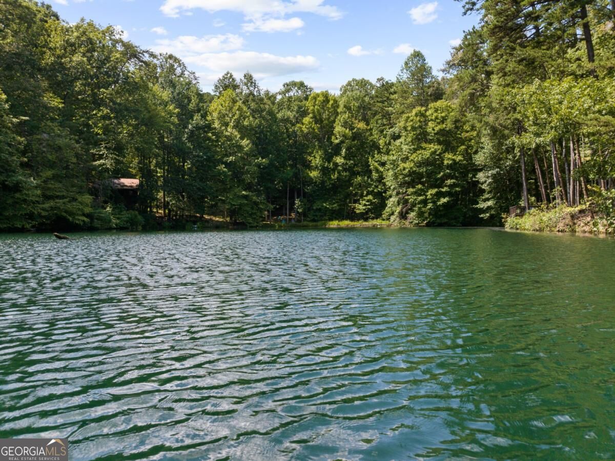 44-45 Overlook Drive Blue Ridge, GA 30513 - Photo 10 of 27 Gallery Image 10