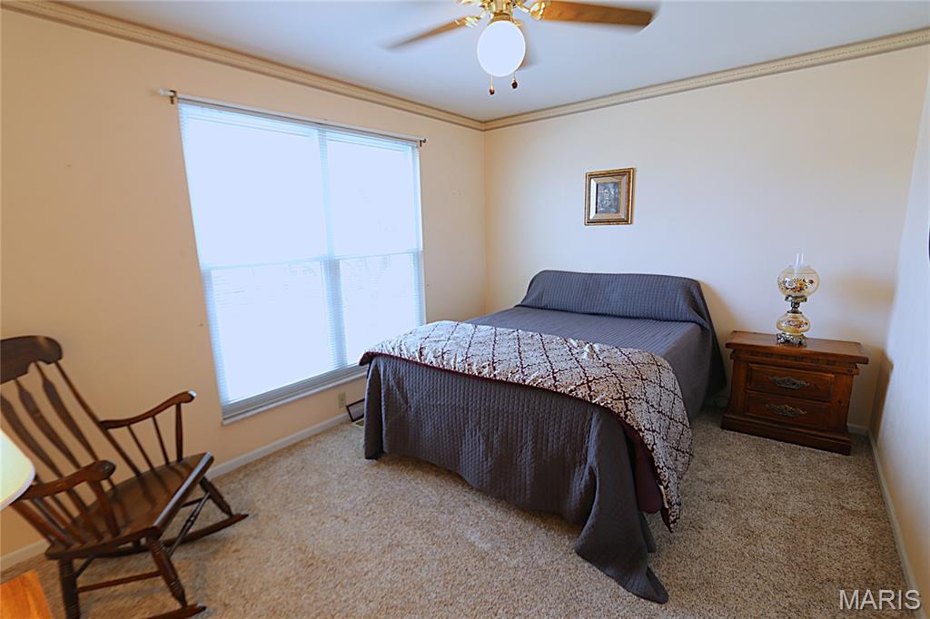 817 Green Ridge Lane St. Peters, MO 63376 - Photo 21 of 31