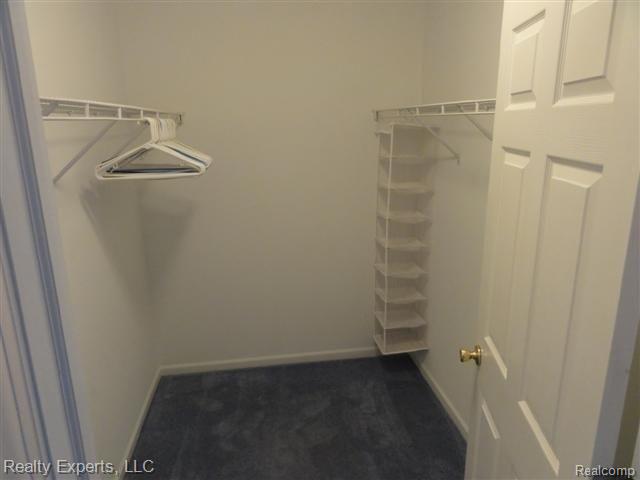 46048 Reedgrass Lane Belleville, MI 48111 - Photo 11 of 14 CLOSET