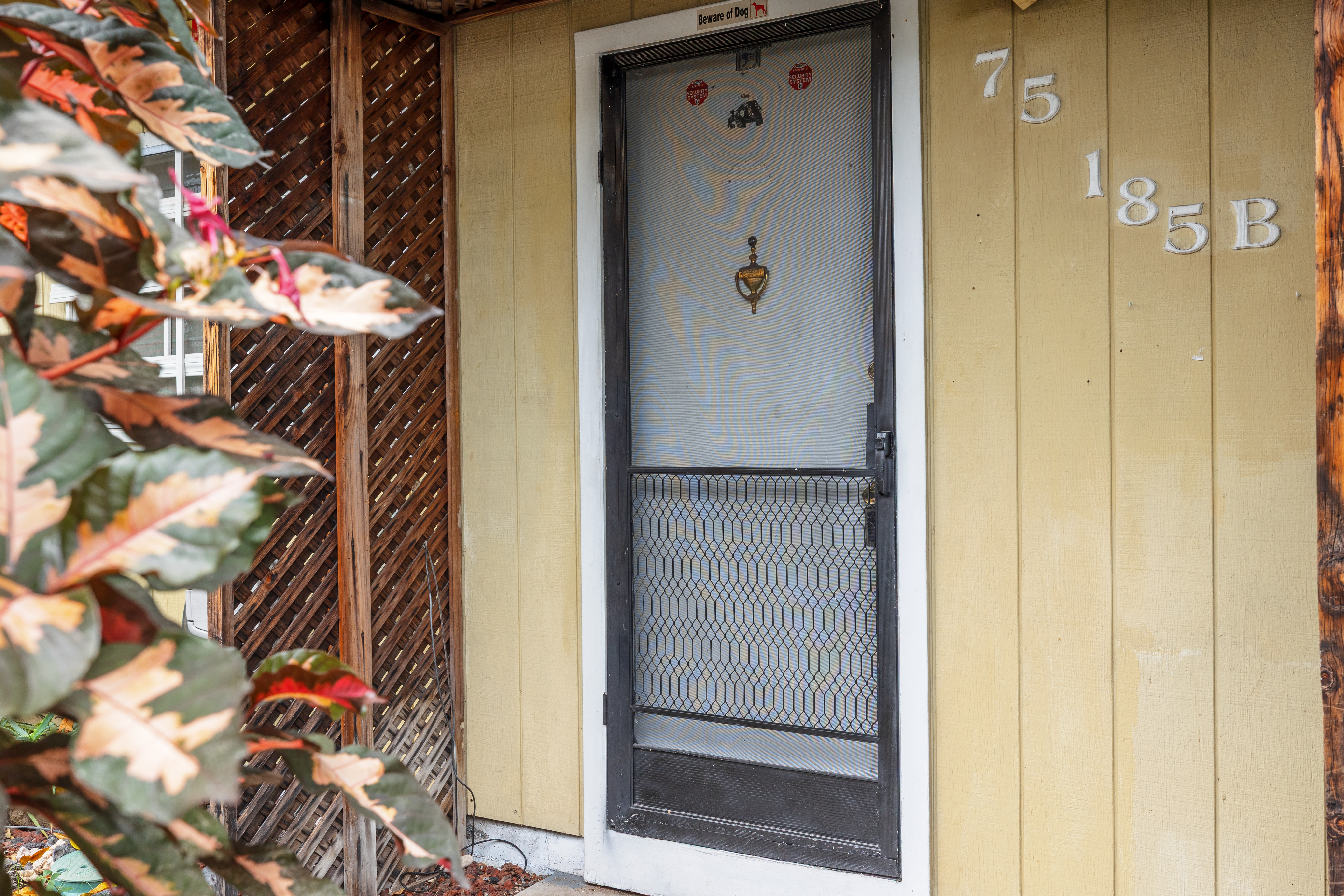 75-185-b Alakai Street, Unit B Kailua-Kona, HI 96740 - Photo 2 of 27 a bathroom with a potted plant