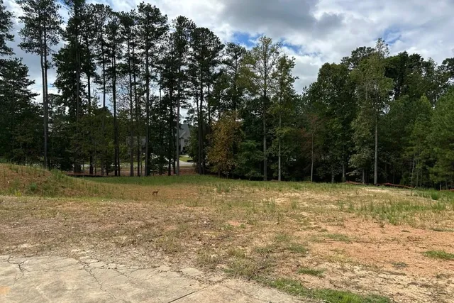 a view of a yard with trees
