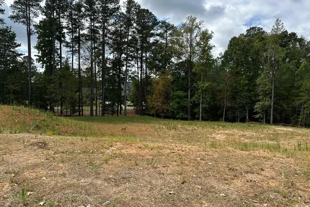 a view of a yard with a trees