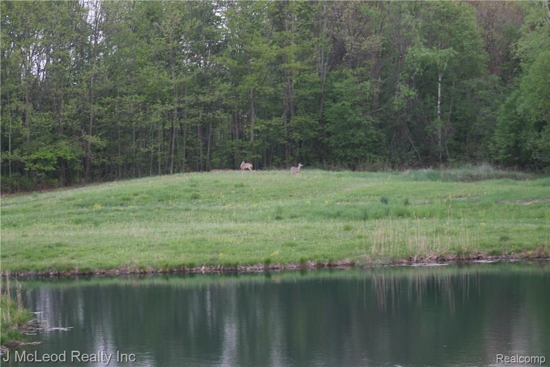 10191 McPherson Road Millington, MI 48746 - Photo 47 of 47 IMG_1092.JPG