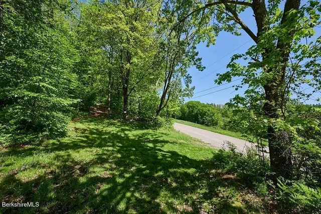 a view of a backyard with pathway