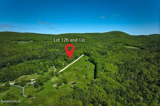 a view of a field with an tree