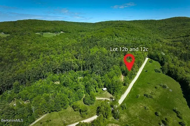 a view of a lush green outdoor space with a mountain