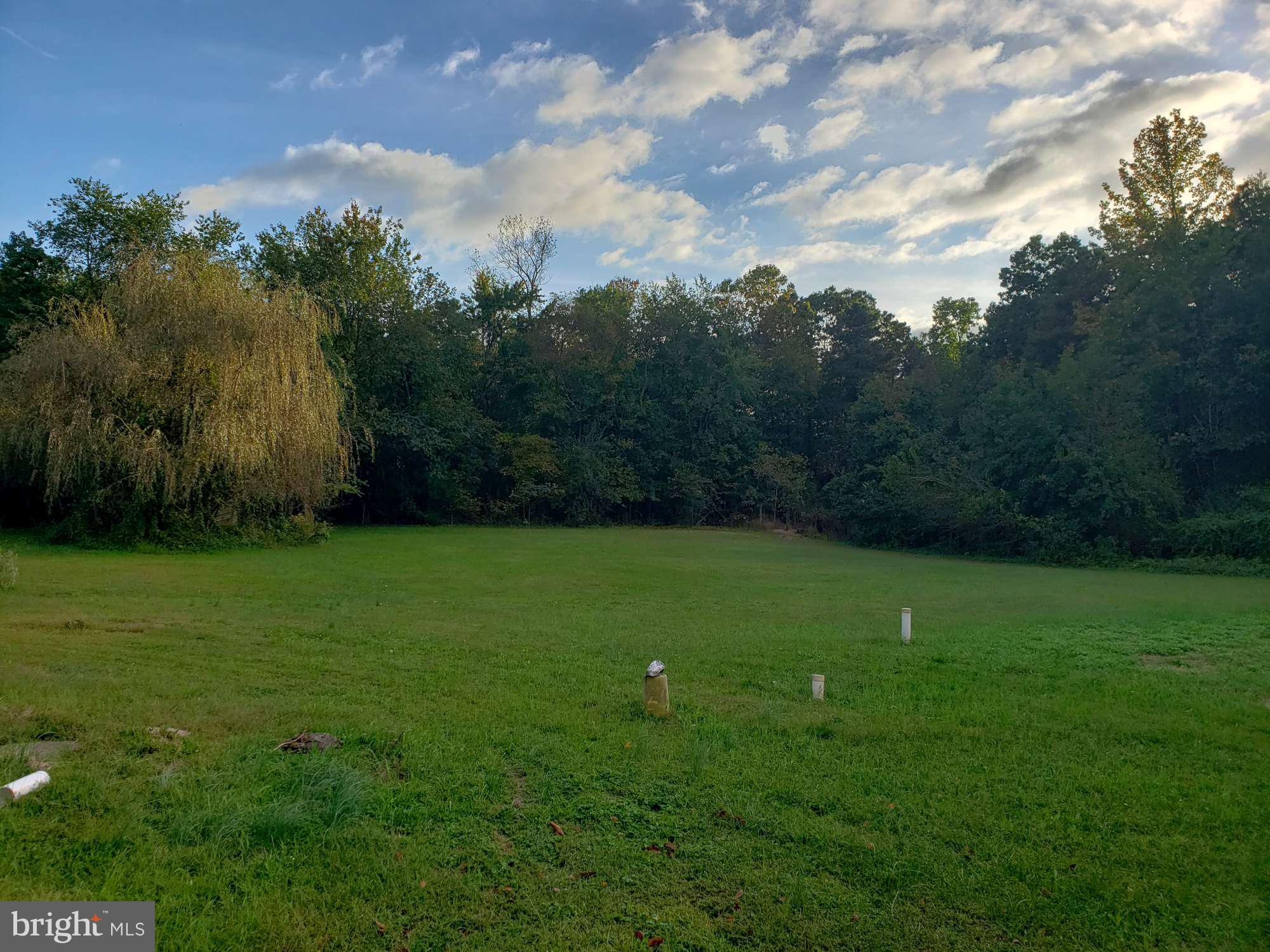 419 Berlin New Freedom Road Berlin, NJ 08009 - Photo 30 of 38 The backyard is amazing