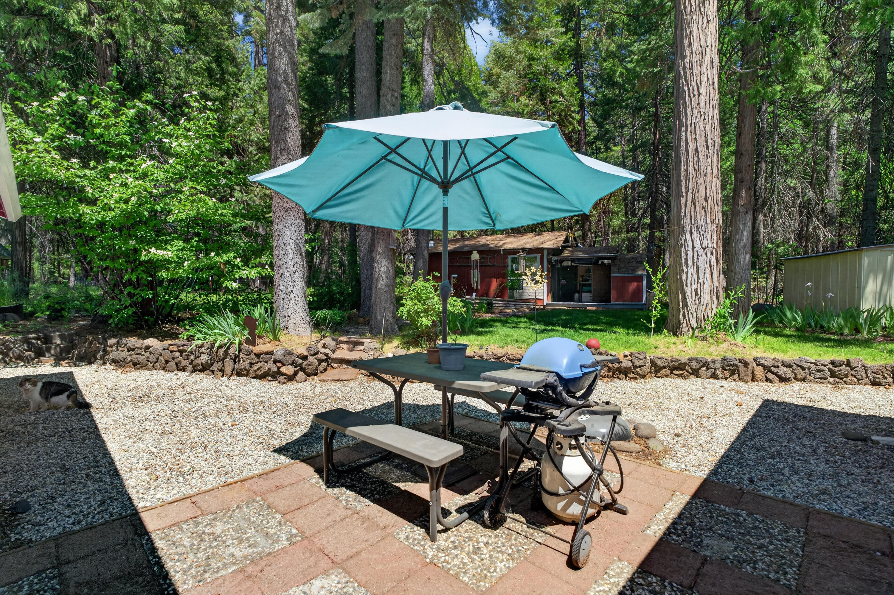 8015 Starlite Pines Road Shingletown, CA 96088 - Photo 29 of 38 a view of a backyard with sitting area and furniture