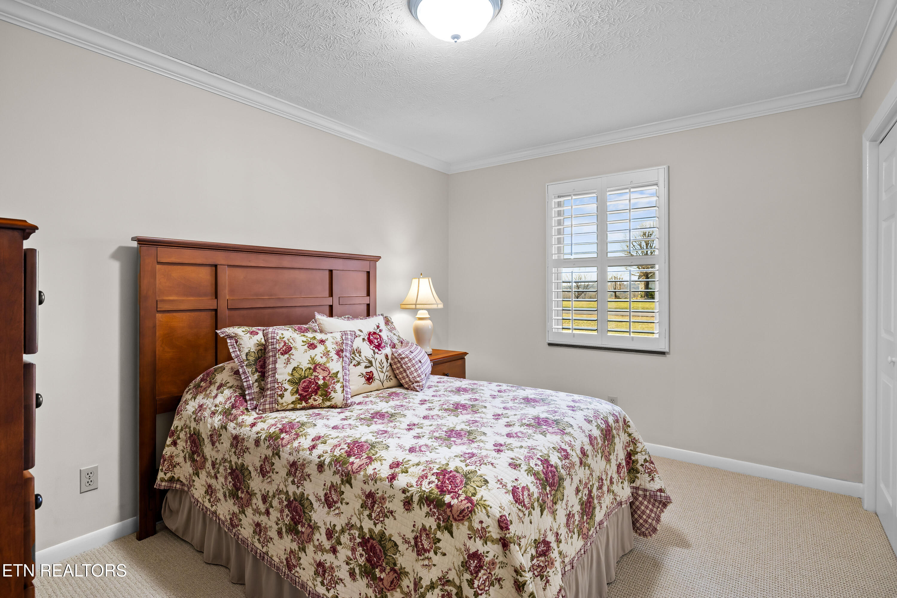 3526 Ridgeway Trail Maryville, TN 37801 - Photo 39 of 59 3526RidgewayTrail-39