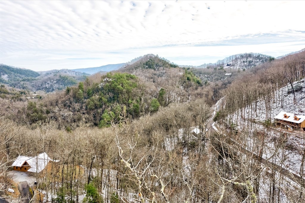 61 Whetstone Road Sevierville, TN 37862 - Photo 16 of 34 Gallery Image 16