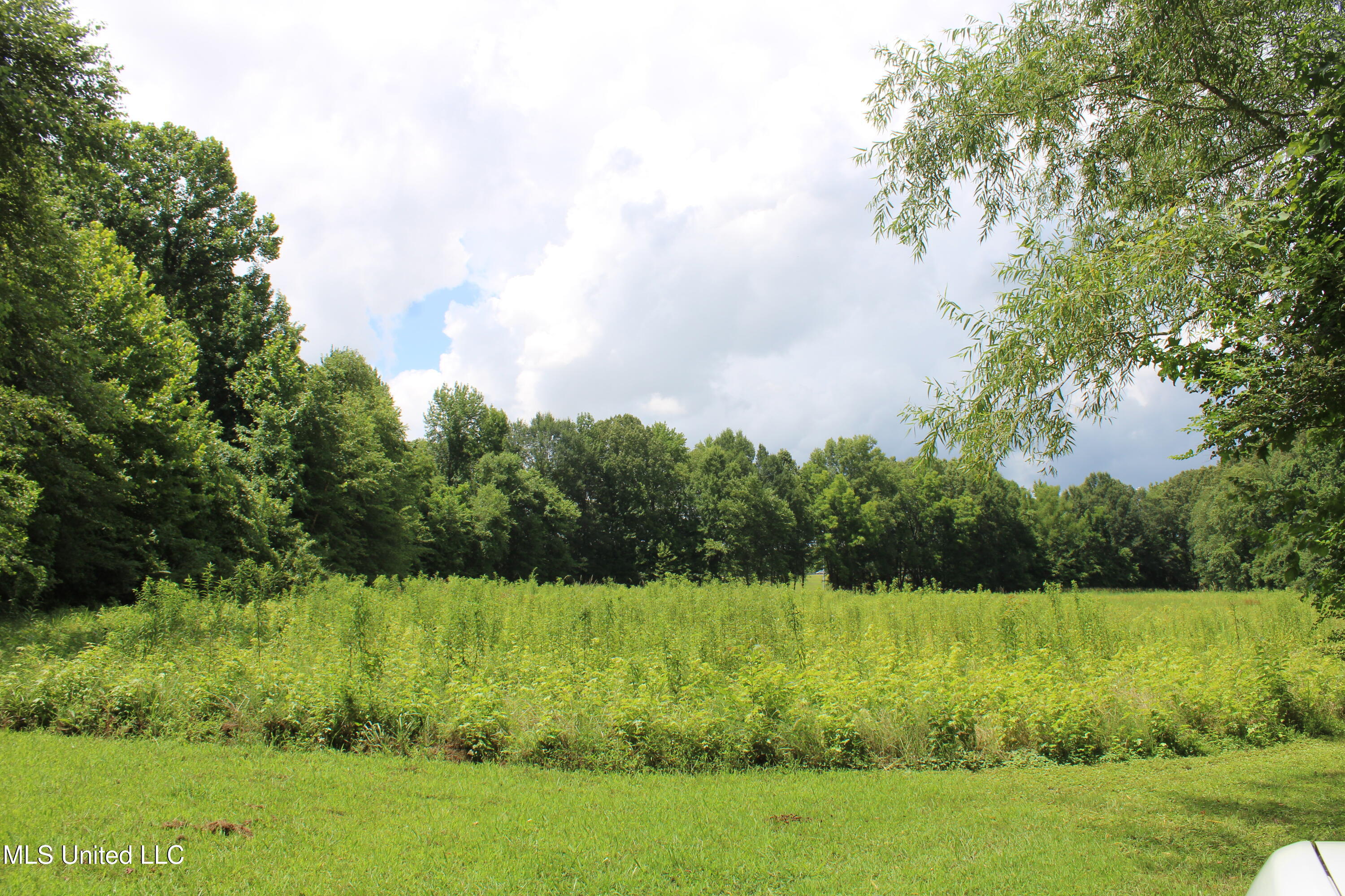 8654 Goodman Road Olive Branch, MS 38654 - Photo 12 of 23 IMG_6316