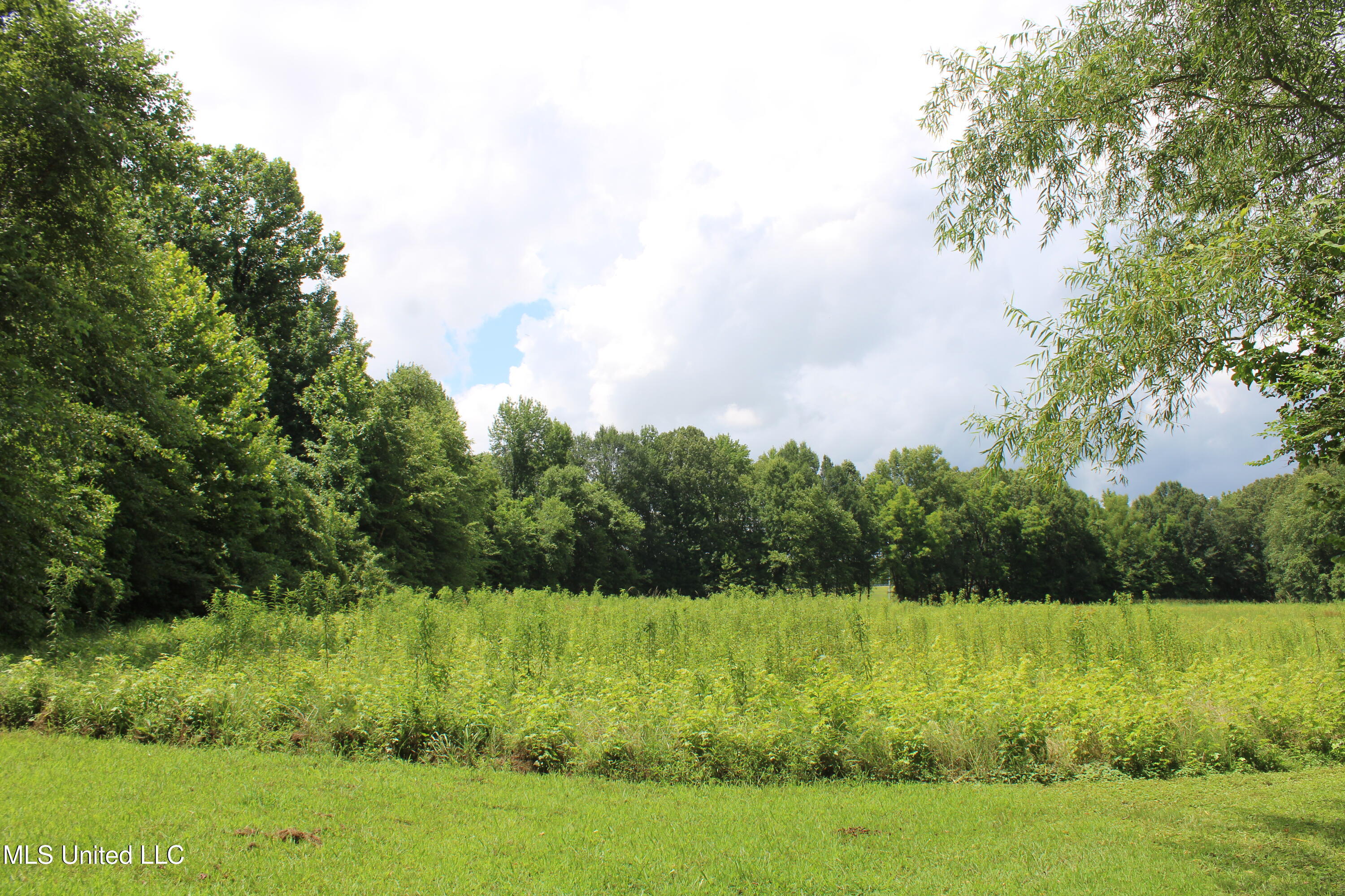 8654 Goodman Road Olive Branch, MS 38654 - Photo 13 of 23 IMG_6317