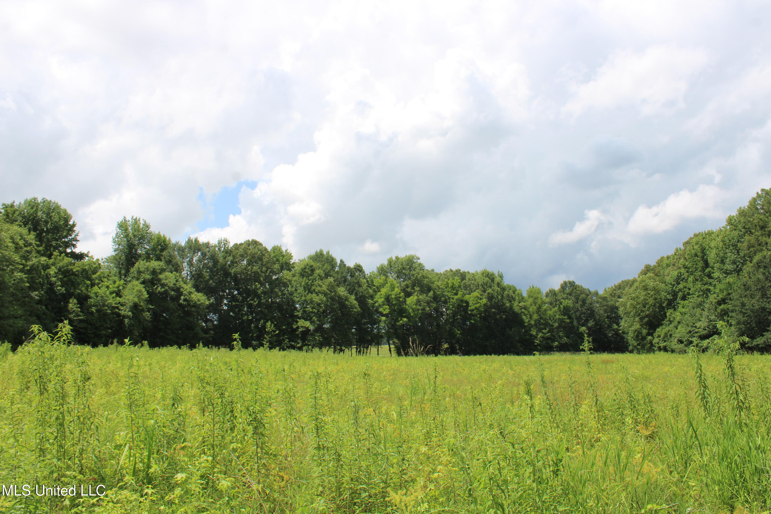 8654 Goodman Road Olive Branch, MS 38654 - Photo 14 of 23 IMG_6318