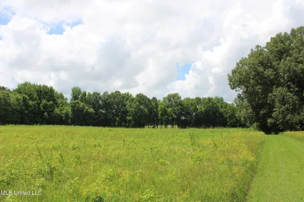 $3,500,000 | 8654 Goodman Road, Olive Branch, MS 38654