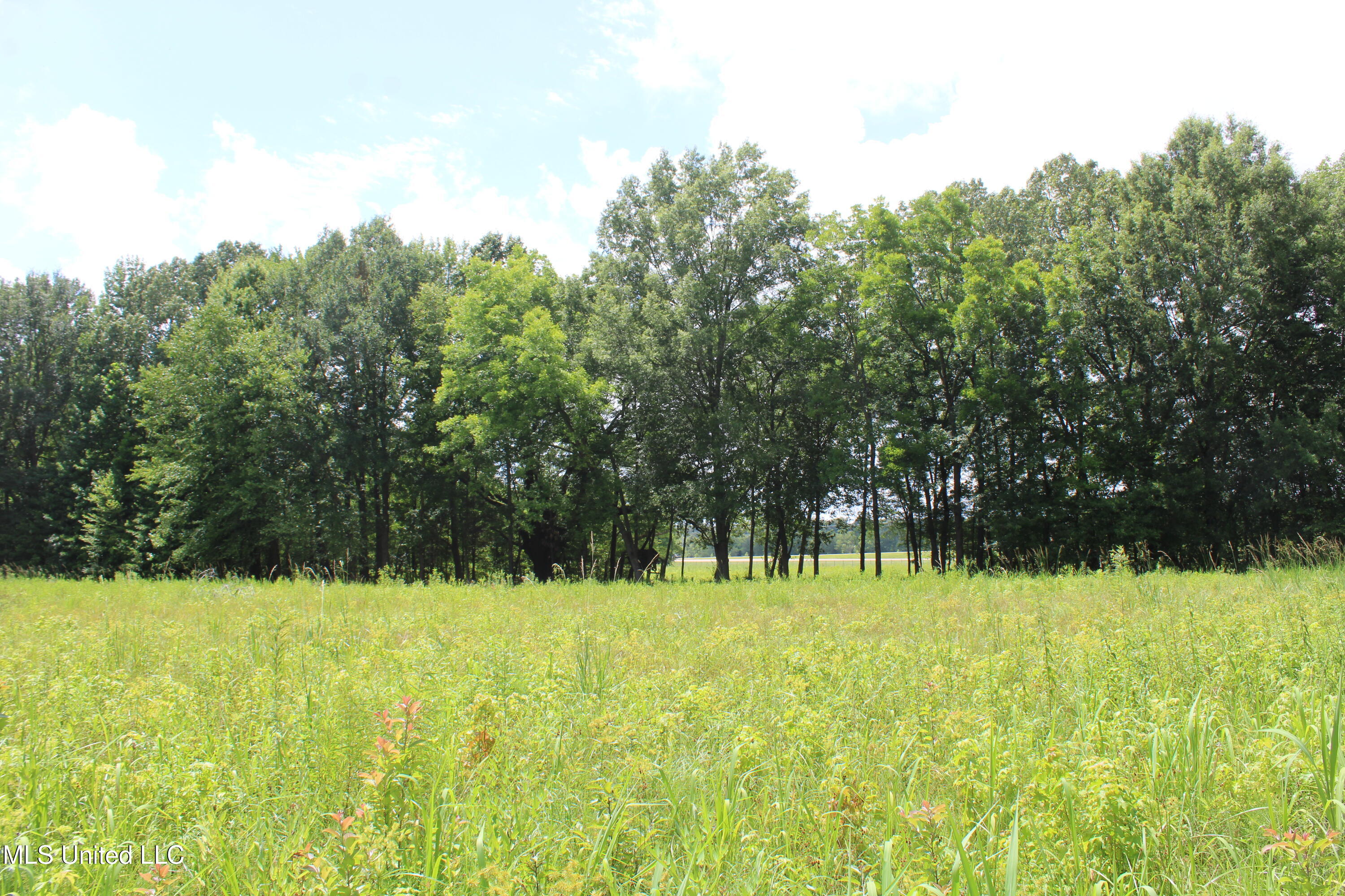 8654 Goodman Road Olive Branch, MS 38654 - Photo 16 of 23 IMG_6320