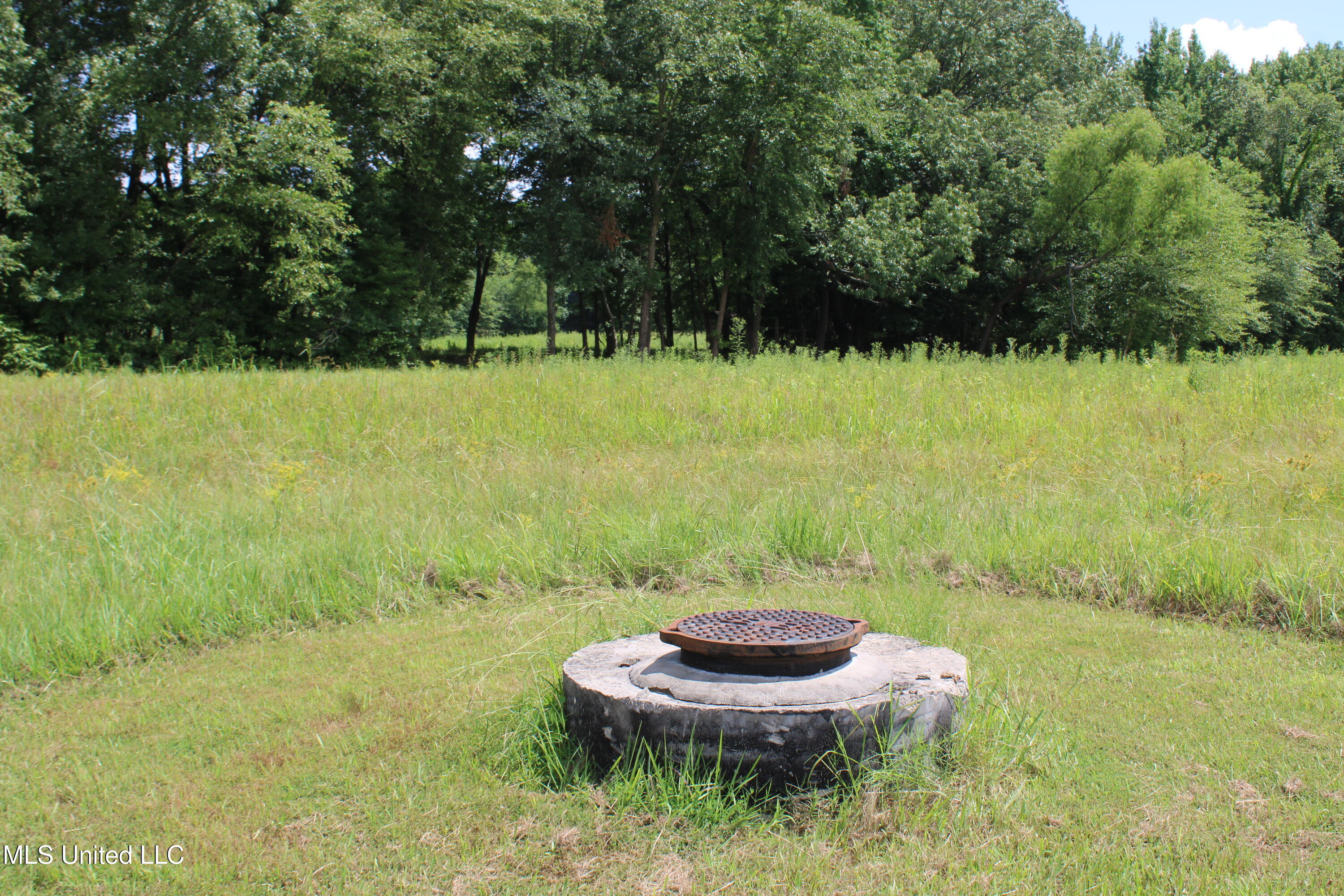 8654 Goodman Road Olive Branch, MS 38654 - Photo 18 of 23 IMG_6322