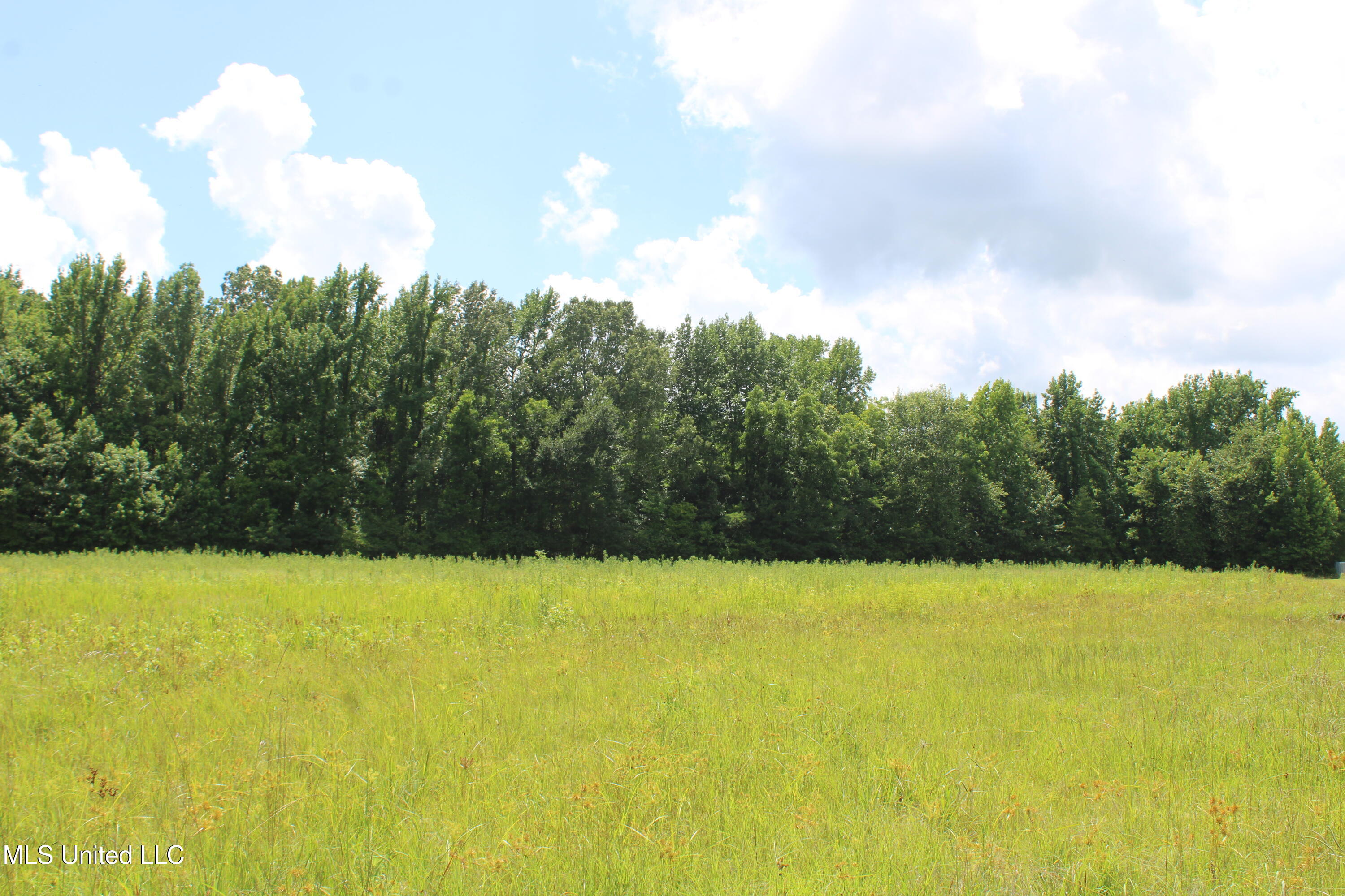 8654 Goodman Road Olive Branch, MS 38654 - Photo 22 of 23 IMG_6326