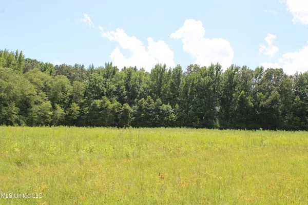 $3,500,000 | 8654 Goodman Road, Olive Branch, MS 38654
