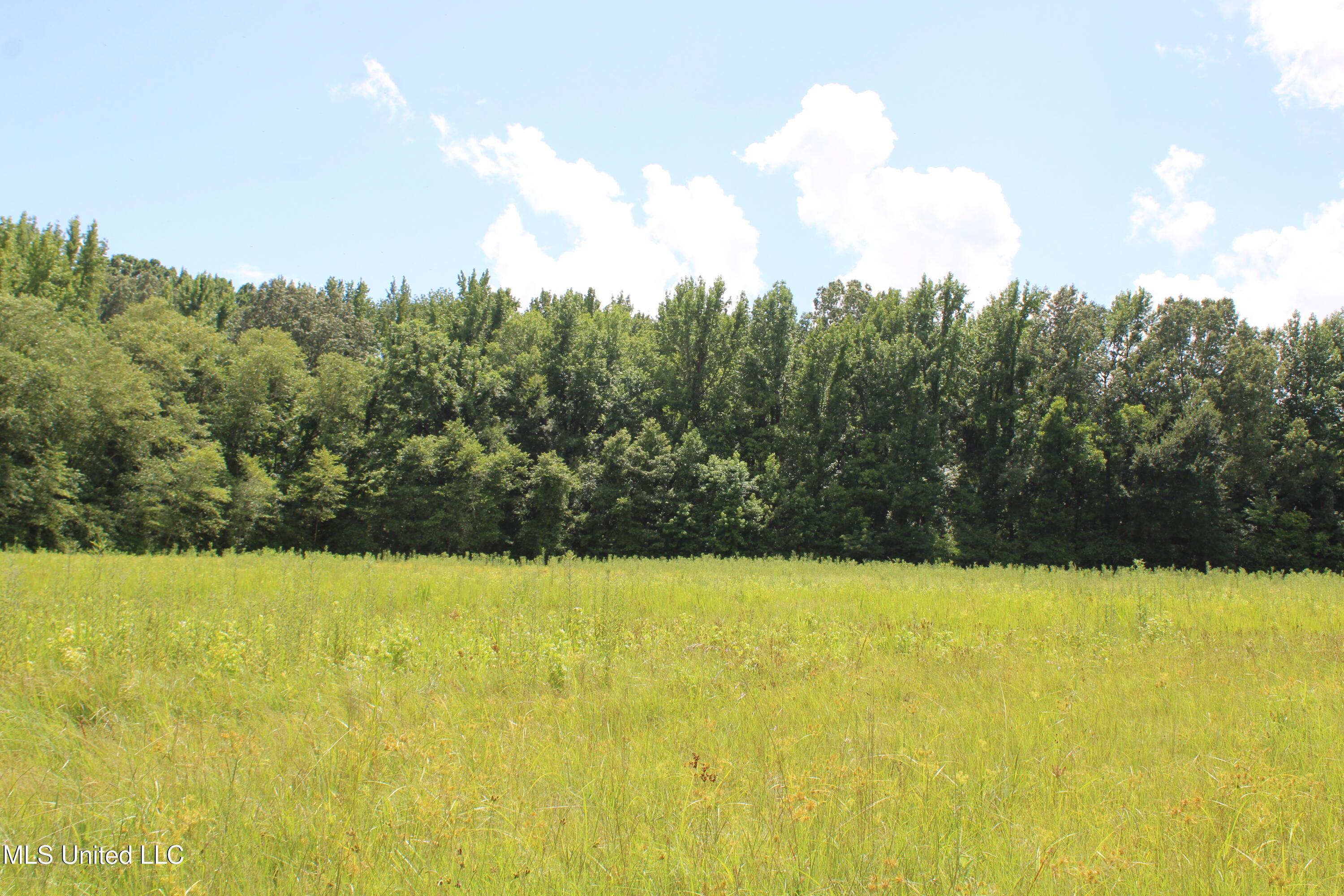 8654 Goodman Road Olive Branch, MS 38654 - Photo 23 of 23 IMG_6327