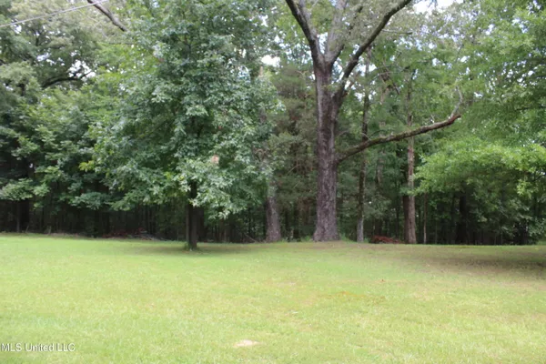 $3,500,000 | 8654 Goodman Road, Olive Branch, MS 38654