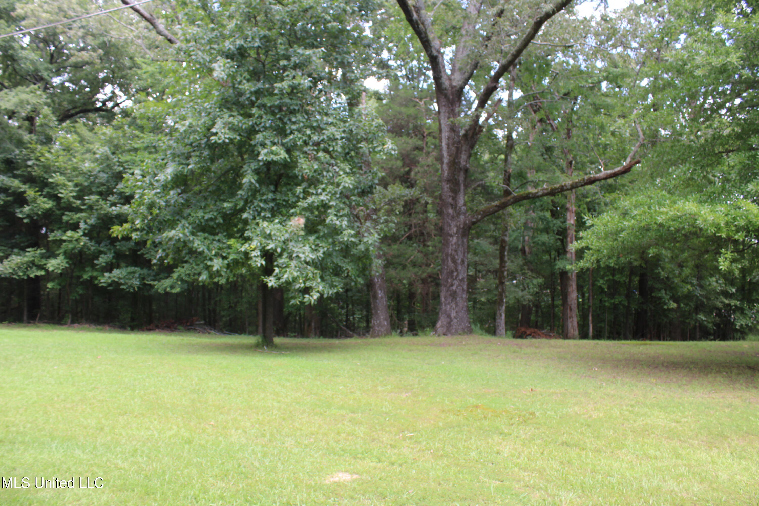 8654 Goodman Road Olive Branch, MS 38654 - Photo 5 of 23 IMG_6305