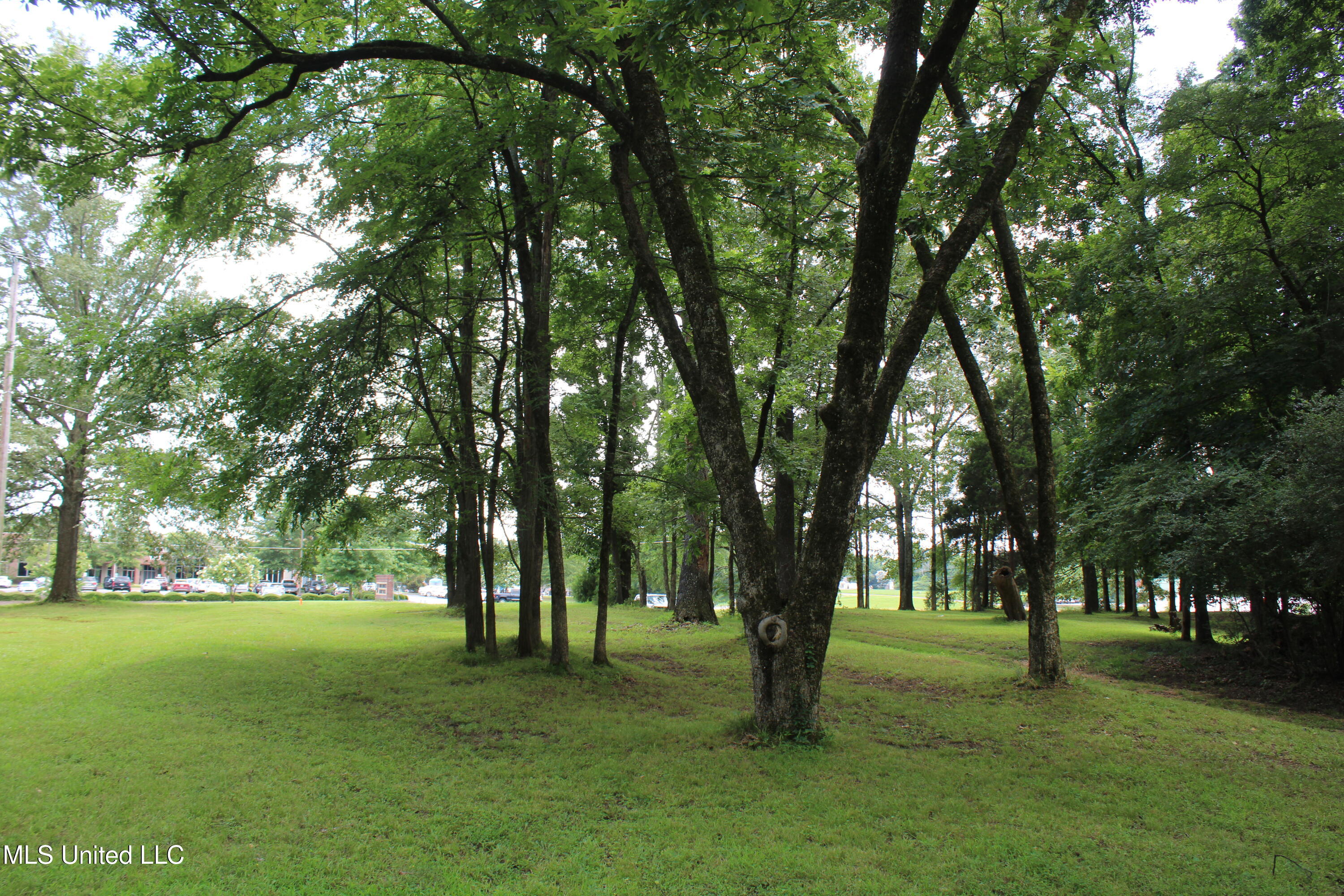 8654 Goodman Road Olive Branch, MS 38654 - Photo 6 of 23 IMG_6308