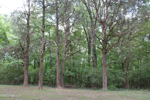 $3,500,000 | 8654 Goodman Road, Olive Branch, MS 38654
