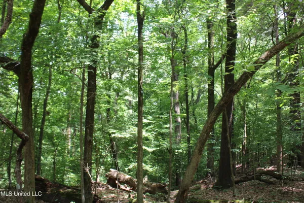 $3,500,000 | 8654 Goodman Road, Olive Branch, MS 38654