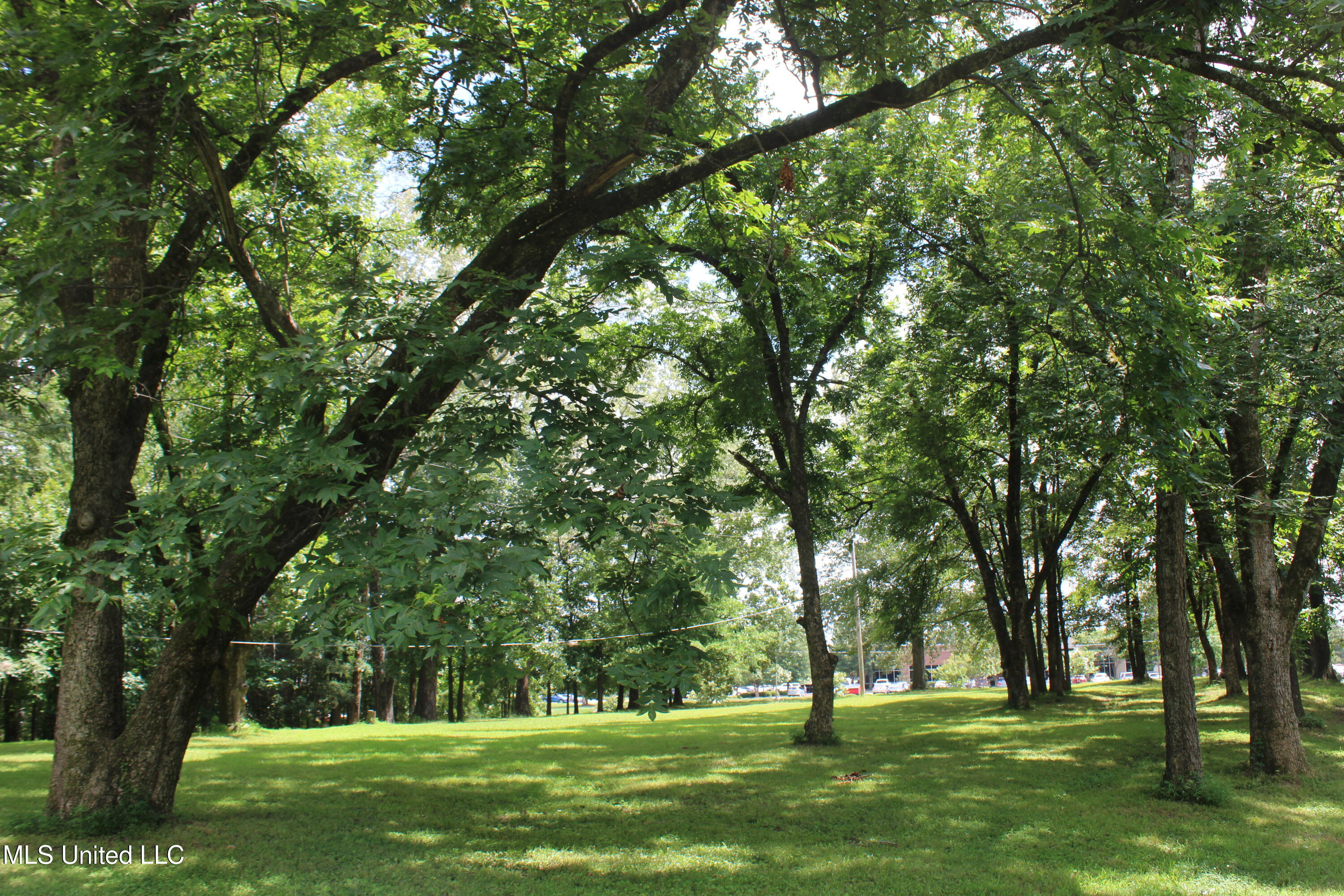 8654 Goodman Road Olive Branch, MS 38654 - Photo 10 of 23 IMG_6314