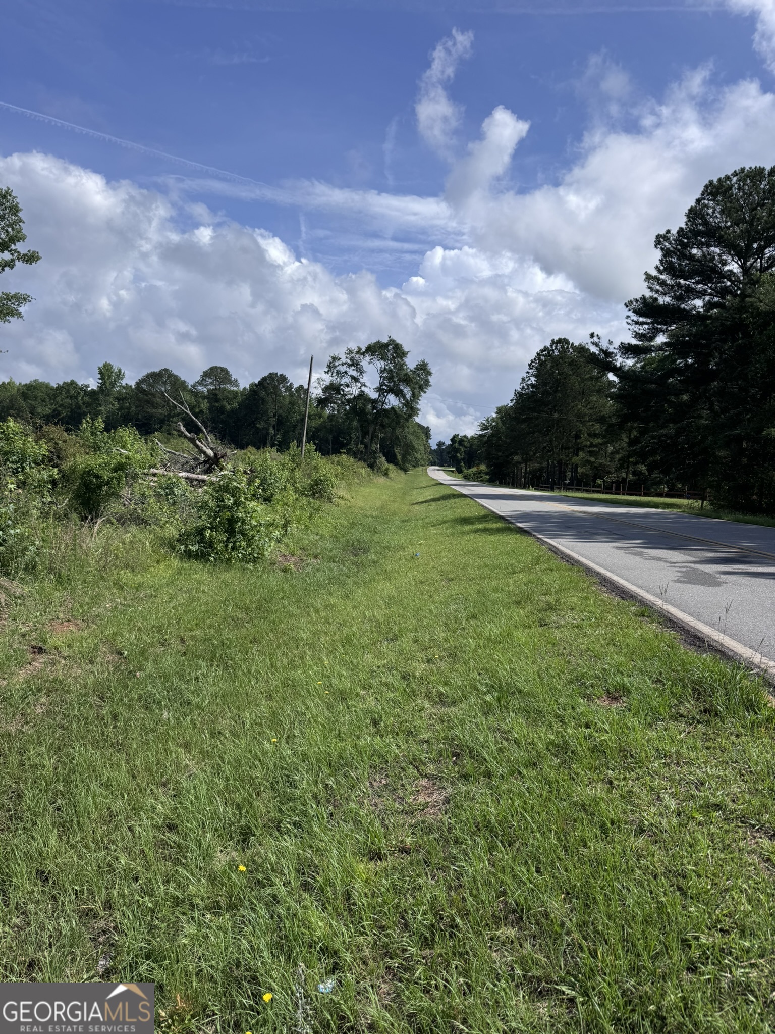 0 Po Biddy Road Thomaston, GA 30286 - Photo 12 of 15
