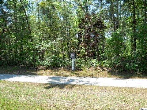 Tbd Low Country Loop Murrells Inlet, SC 29576 - Photo 1 of 8