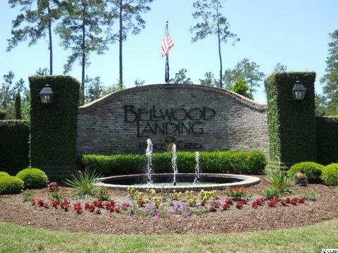 Tbd Low Country Loop Murrells Inlet, SC 29576 - Photo 2 of 8