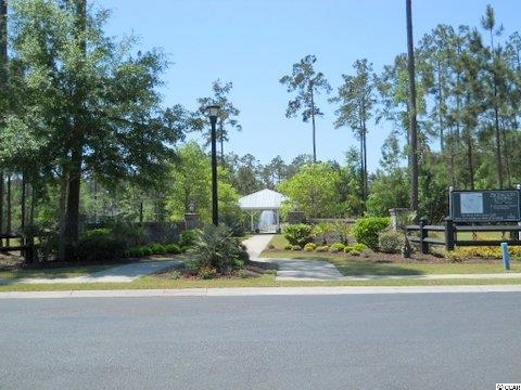 Tbd Low Country Loop Murrells Inlet, SC 29576 - Photo 3 of 8