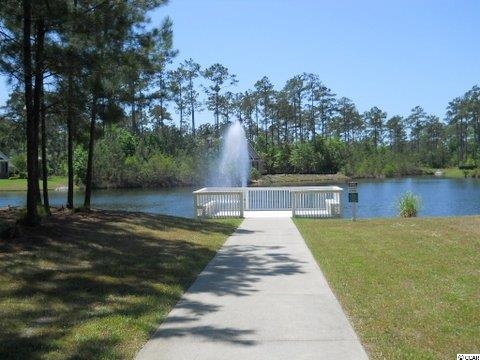 Tbd Low Country Loop Murrells Inlet, SC 29576 - Photo 5 of 8