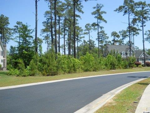 Tbd Low Country Loop Murrells Inlet, SC 29576 - Photo 6 of 8