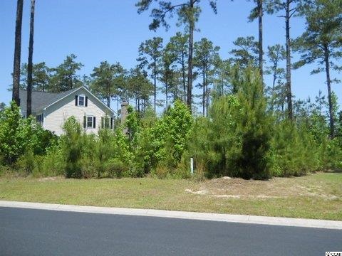 Tbd Low Country Loop Murrells Inlet, SC 29576 - Photo 7 of 8