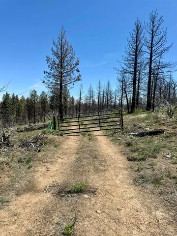 a view of outdoor space with trees