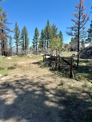 a view of outdoor space with trees