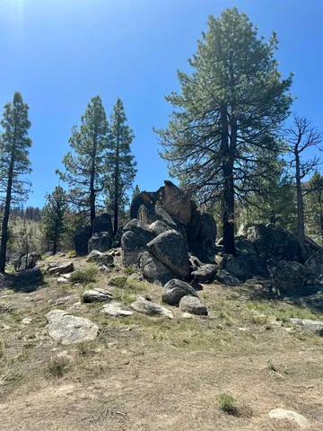 a view of a backyard of the house