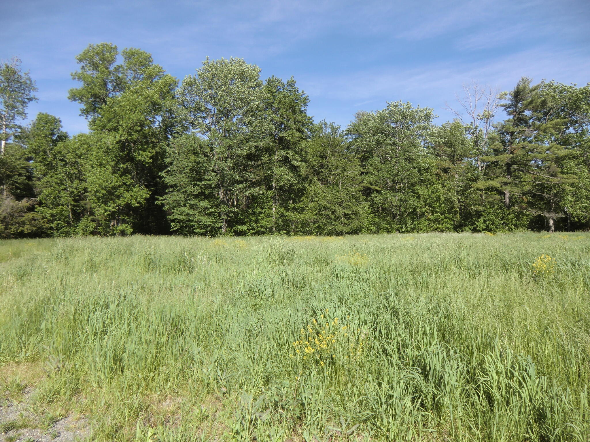 840 Bellsqueeze Road Clinton, ME 04927 - Photo 7 of 9 Land 6